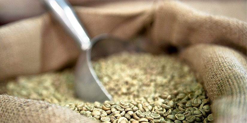 rohkaffee-bohnen Rohkaffee im Sack