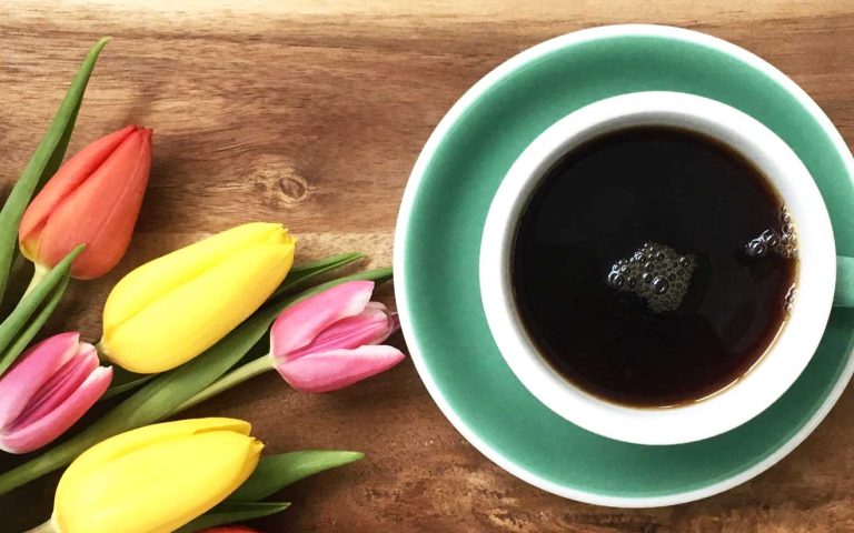 Türkise Kaffeetasse auf Holzuntergrund, daneben Tulpen in verschiedenen Farben